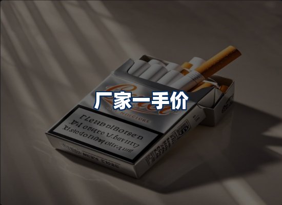 专业团队办公环境
